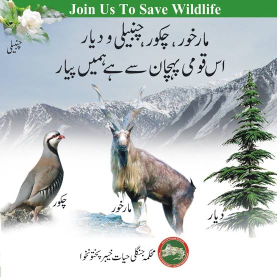 Wildlife Department Khyber Pakhtunkhwa Online Apply 2025