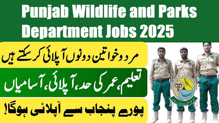 Punjab Wildlife & Parks Department Jobs 2025 Online Apply